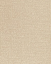 KRAVET SMART 36857 116 by  Kravet 