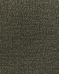 KRAVET SMART 36857 323 by  Kravet 