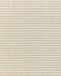 Plushy Stripe 36859 116 Flax by  Silver State 