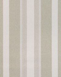 Natural Stripe 36863 116 Flax by  Silver State 