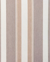 Natural Stripe 36863 16 Wheat by  Silver State 
