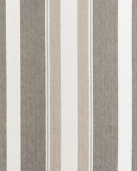 Natural Stripe 36863 616 Barley by  Silver State 
