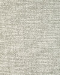 Chenille Aura 36871 11 Stone by  Silver State 