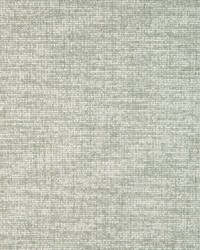 Chenille Aura 36871 15 Mist by  Silver State 