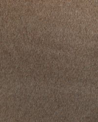 Alpaca Drift 36872 6 Umber by  Silver State 