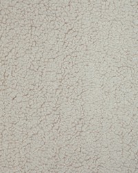 KRAVET BASICS 36891 1 by  Kravet 