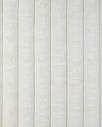 KRAVET BASICS 36893 1 by  Kravet 