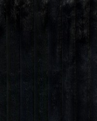 KRAVET BASICS 36893 8 by  Kravet 