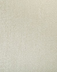 KRAVET BASICS 36894 1 by  Kravet 