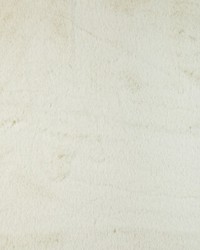 KRAVET BASICS 36896 1 by  Kravet 