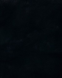 KRAVET BASICS 36896 8 by  Kravet 