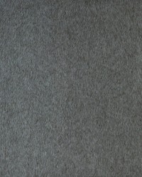 KRAVET BASICS 36897 52 by  Kravet 