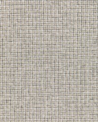 Aria Check 36950 1611 Linen by  P K Lifestyles 