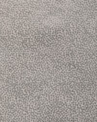 KRAVET DESIGN 36988 1101 by  Collier Campbell 