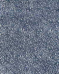 KRAVET DESIGN 36988 5 by  Collier Campbell 