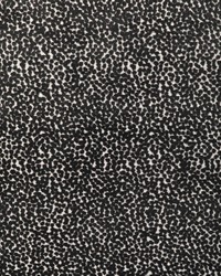 KRAVET DESIGN 36988 8 by  Collier Campbell 