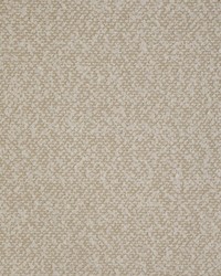 KRAVET SMART 37001 116 by  Kravet 