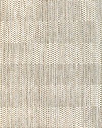 KRAVET SMART 37018 106 by  Kravet 