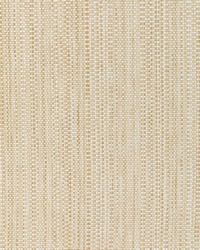 KRAVET SMART 37018 116 by  Kravet 