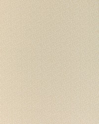 KRAVET SMART 37019 161 by  Kravet 