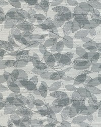 Leaf Dance 37053 11 Shadow by   