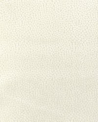 KRAVET DESIGN 37064 1 by  Collier Campbell 