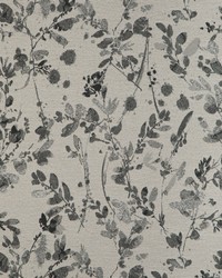 Bayview 37072 1121 Moonlight by   