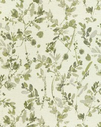 Bayview 37072 123 Spring by   