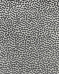 KRAVET DESIGN 37087 11 by  Collier Campbell 