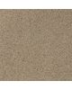 Kravet 37093 106