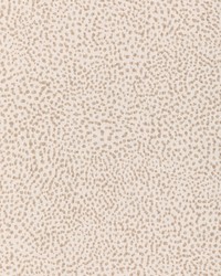 Pitterpatter 37258 6  by  Naugahyde 