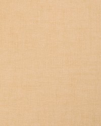 Jesse 37394 1116  by   