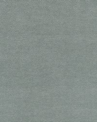 KRAVET SMART 37424 13 by  Kravet 