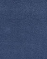 KRAVET SMART 37424 505 by  Kravet 