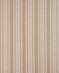 KRAVET DESIGN 37443 416 by  Kravet 