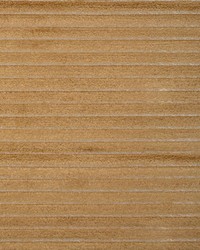 KRAVET DESIGN 37492 4 by  Kravet 