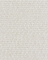 KRAVET SMART 37507 1611 by  Kravet 