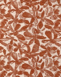 Ranza 37542 24  by  Kravet 