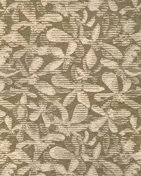 Ranza 37542 30  by  Kravet 