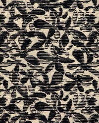 Ranza 37542 8  by  Kravet 