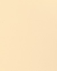 KRAVET BASICS 37578 1001 by  Kravet 