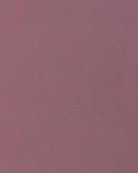 KRAVET BASICS 37578 110 by  Kravet 