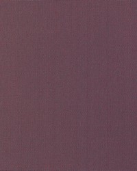 KRAVET BASICS 37578 1110 by  Kravet 