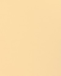 KRAVET BASICS 37578 1116 by  Kravet 