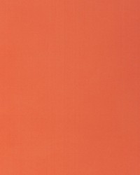 KRAVET BASICS 37578 112 by  Kravet 