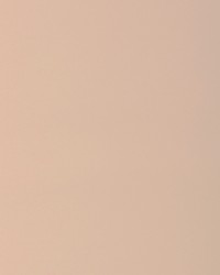 KRAVET BASICS 37578 117 by  Kravet 