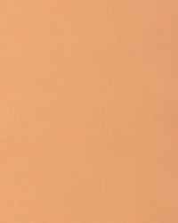 KRAVET BASICS 37578 1216 by  Kravet 