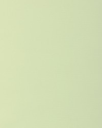 KRAVET BASICS 37578 130 by  Kravet 