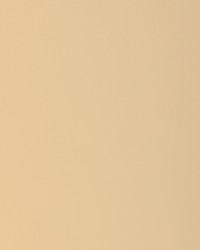 KRAVET BASICS 37578 16 by  Kravet 