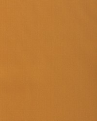 KRAVET BASICS 37578 4 by  Kravet 